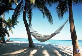 caribbean-beach-hammock